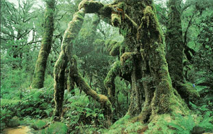 image1 张磊耶鲁.com
